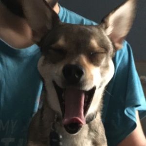 Meet your Posher, Toni